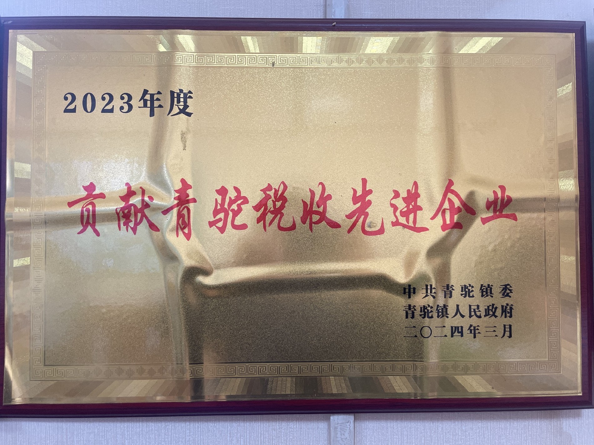 2023年度貢獻青駝稅收先進企業